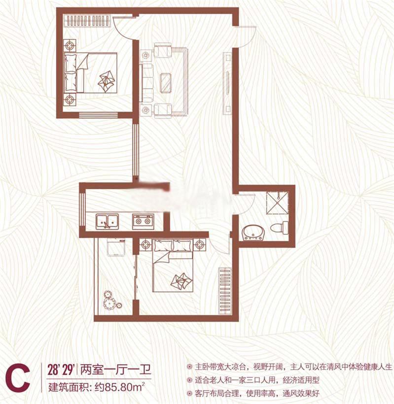  C 85.8O 21